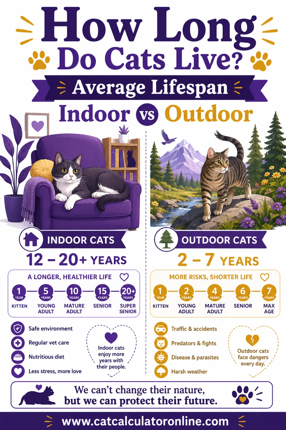 How Long Do Cats Live? Average Lifespan Indoors, Outdoors & by Breed